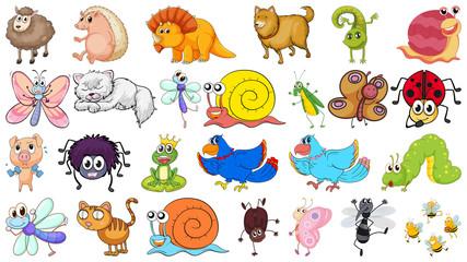 Obraz premium Set of various animals