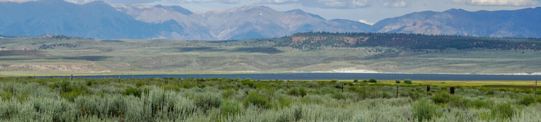 Fototapeta na wymiar Panoramic view of Green wild land with sagebrush plant and mountain in the background during clouded summer day next the Lake Crowley, Eastern Sierra, Mono County, California, USA. 