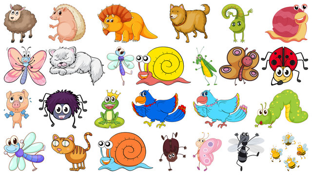 Set of various animals