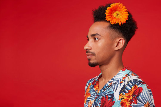 Portrait of young dark skinned guy, wears in Hawaiian shirt, looks away with calm expression, with a orange flower in hair, stands over red background.