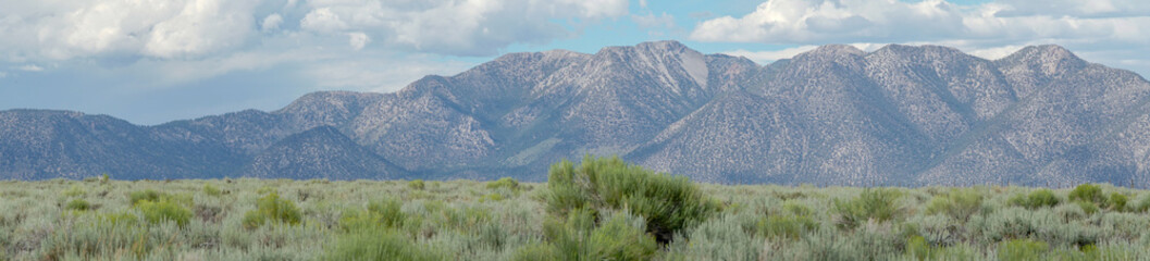 Panoramic view of Green wild land with sagebrush plant and mountain in the background during clouded summer day next the Lake Crowley, Eastern Sierra, Mono County, California, USA. 