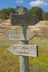 Binnendünen bei Klein-Schmölen, Mecklenburg-Vorpommern