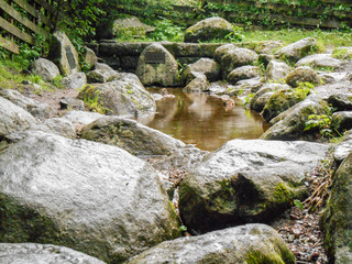 Donau main spring Breg