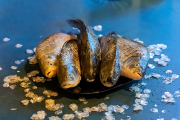 Carassius gibelio. River crucian. Scaled river fish lies on the plate. Scales of river fish lying on the table.