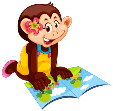 Cute monkey in human-like pose isolated