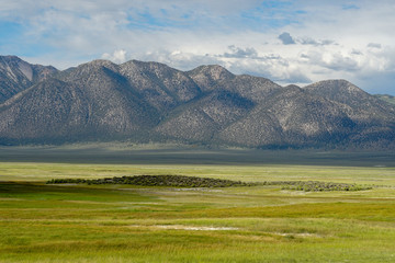 Long valley next to Lake Crowley, Mono County, California. USA. Green wetland with mountain on the background during clouded summer.