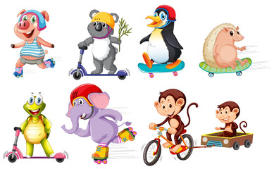 Obraz premium Set of animals riding bikes and scooters
