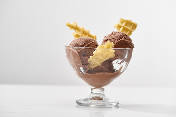 delicious chocolate ice cream in glass bowl with waffles isolated on grey