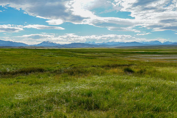 Long valley next to Lake Crowley, Mono County, California. USA. Green wetland with mountain on the background during clouded summer.