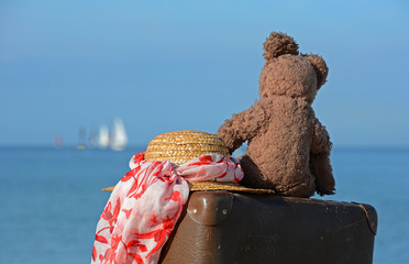 Teddy schaut auf Meer