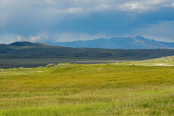 Long valley next to Lake Crowley, Mono County, California. USA. Green wetland with mountain on the background during clouded summer.