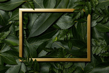top view of golden frame on green fresh leaves background