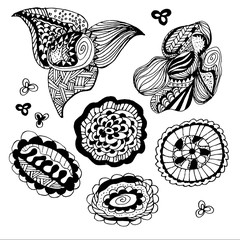 Vector doodle set in black and white colors