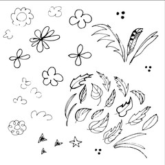 Vector doodle set in black and white colors with flowers, feathers and leaves