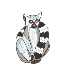 Hand drawn illustration of ring tailed lemur. Cute animal character on white background. 