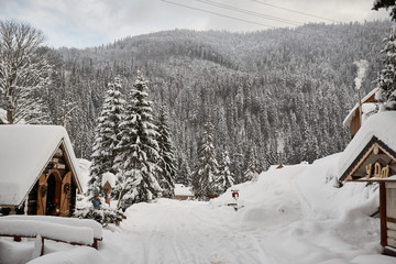 Winter vacation view of mountains and fir three forest. Snow road.