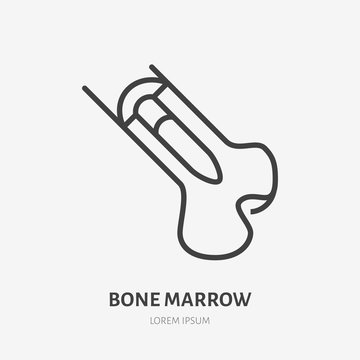 Bone marrow flat line icon. Vector thin pictogram of human skeleton structure, outline illustration for orthopedic clinic