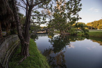 Fototapeta na wymiar Biltmore Country Club, Canal view