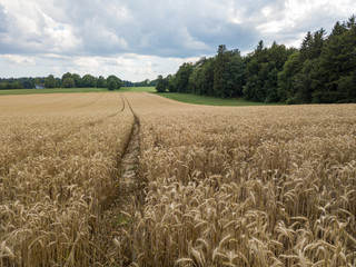 Luftaufnahmen um Spaichingen Russberg