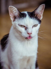 Fototapeta premium i am handicapped and so sick