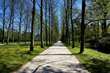 Obraz premium Sunny alley in the French Garden, Celle
