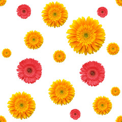 gerbera flowers  seamless  pattern