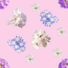 spring flowers seamless  pattern