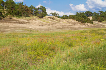 Binnendünen bei Klein-Schmölen, Mecklenburg-Vorpommern