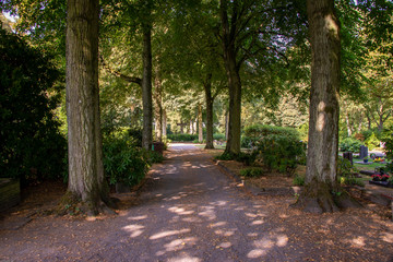 Hauptweg auf dem Waldfriedhof