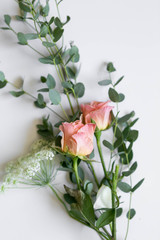 Roses and Greenery on White Background, Copy Space