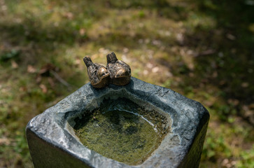 Schöne Vogeltränke auf dem Friedhof 
