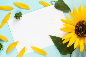 Yellow sunflower, petals and leaves on light blue background with blank white card. Floral composition, flat lay, top view, minimal romantic style. Close up