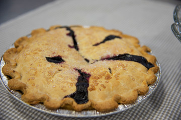Blueberry Pie
