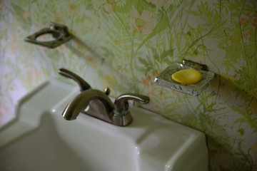 Soap and sink