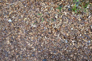 Rindenmulch