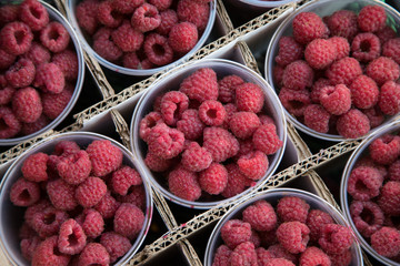 Raspberry in a plastic cup