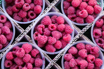 Raspberry in a plastic cup