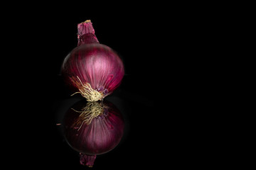 One whole stale red onion isolated on black glass