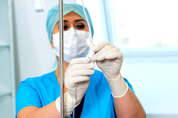 Set up the installed drip system.