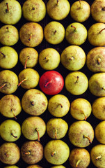 organic pears - selective focus, standing out from the crowd, leadership, difference concept....