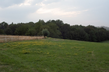 Spaziergang von Dorf zu Dorf