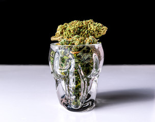 Medical and Recreational Marijuana