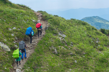 Fototapeta na wymiar A group of hikers climb the trail to the top of the mountain. Mountain tourism.