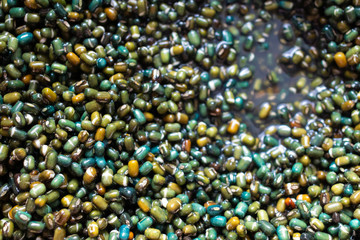 Glossy wet soaked, washed black dal beans, Urid lentils, soya, superfood   world travel food, colourful glossy gram seeds. Indian Kali Black Mung bean. Vegetarian, vegan, healthy protein and fibre