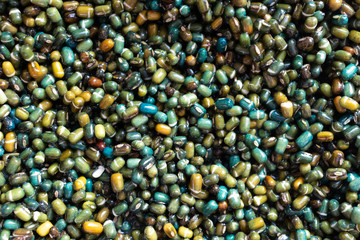 Glossy wet soaked, washed black dal beans, Urid lentils, soya, superfood   world travel food, colourful glossy gram seeds. Indian Kali Black Mung bean. Vegetarian, vegan, healthy protein and fibre