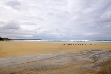 Fototapeta na wymiar Eoropie Beach auf der Isle of Lewis in Schottland