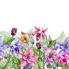 Beautiful columbine flowers or aquilegia and exotic monstera leaves on white background. Seamless floral tropical pattern, border. Watercolor painting. Hand painted illustration.