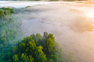 Obraz na płótnie Canvas Mist over mixed forest at sunrise, aerial landscape. Temperature contrast concept. Foggy morning