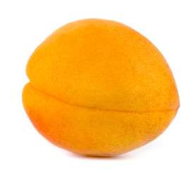 Fototapeta na wymiar fresh apricot on a white background