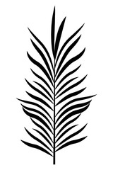 Palm leaf tropical nature cartoon in black and white